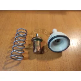 Skoda Fabia und Rapid 1.6 16V Thermostat