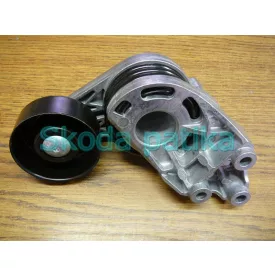 Skoda Fabia, Roomster Diesel-Riemenspanner