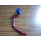 H7-ES-izzo-foglalat