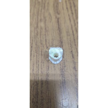 Favorit-Felicia-fekcso-tarto-klip-1-db-os