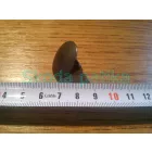 Skoda-Felicia-Fabia-I-II-Octavia-I-II-Roomster-Yet