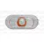 Skoda Citigo Seitenblinker